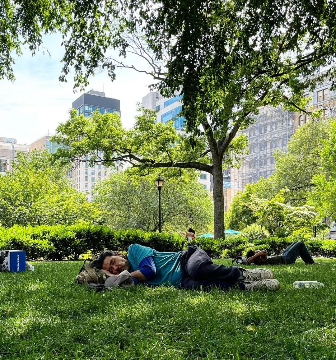 [image] - 901079.jpeg