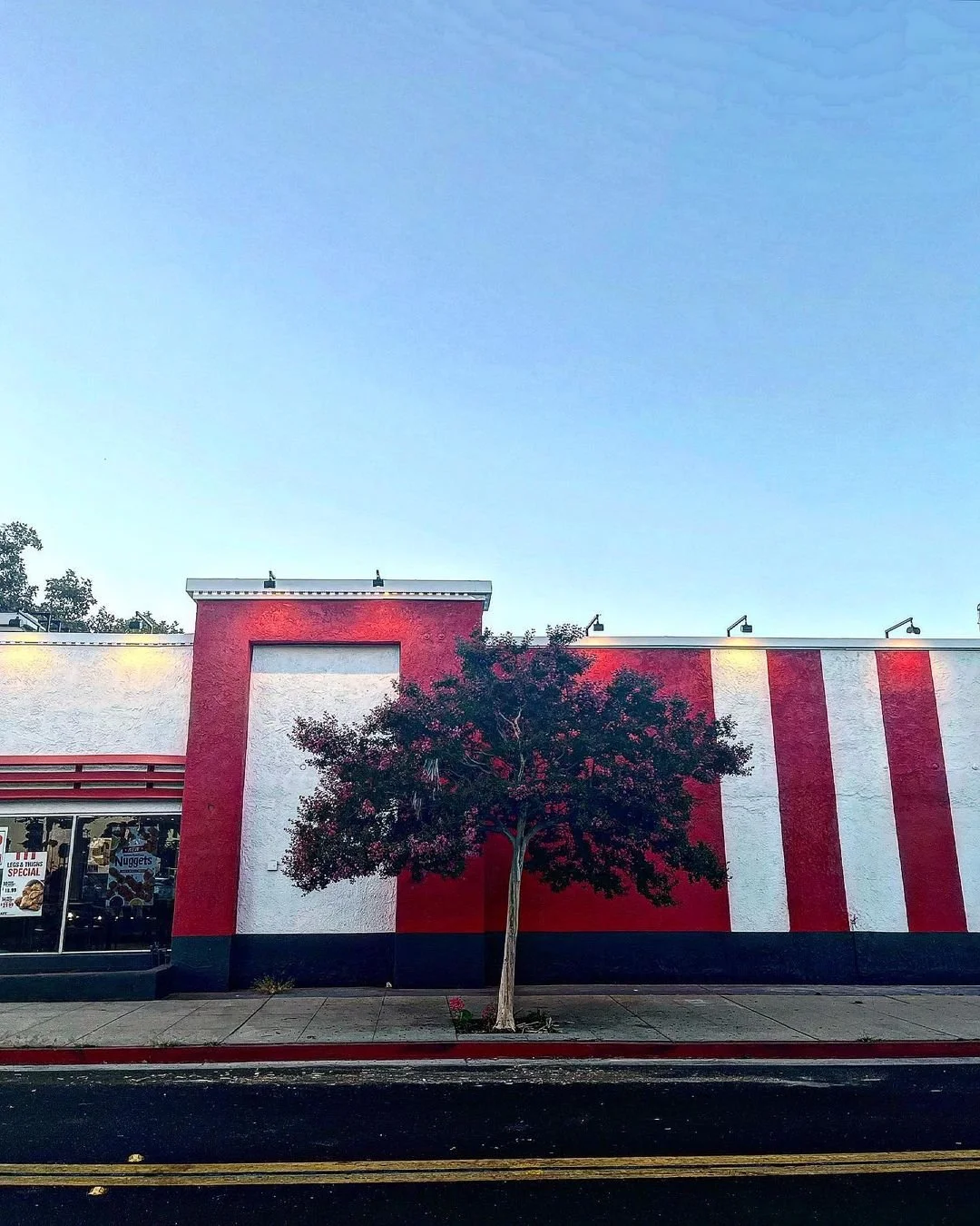 [image] - 5598288.jpeg