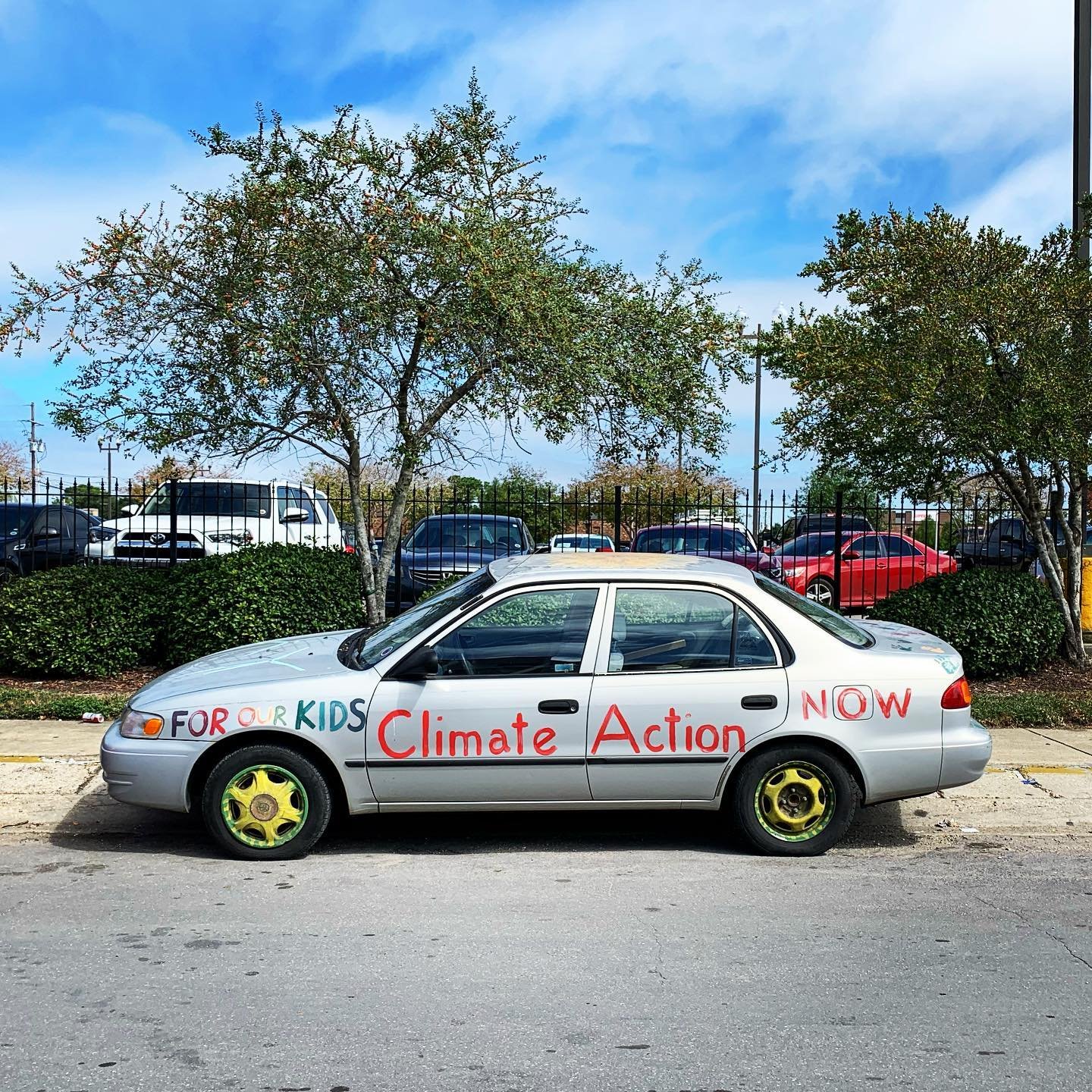 [image] - 7436782.jpeg