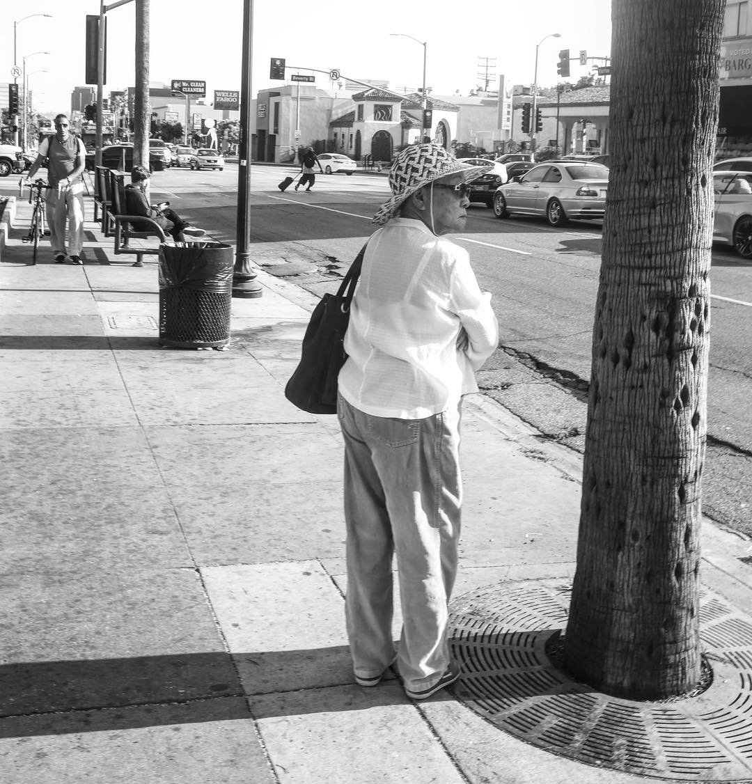 [image] - 8705800.jpeg