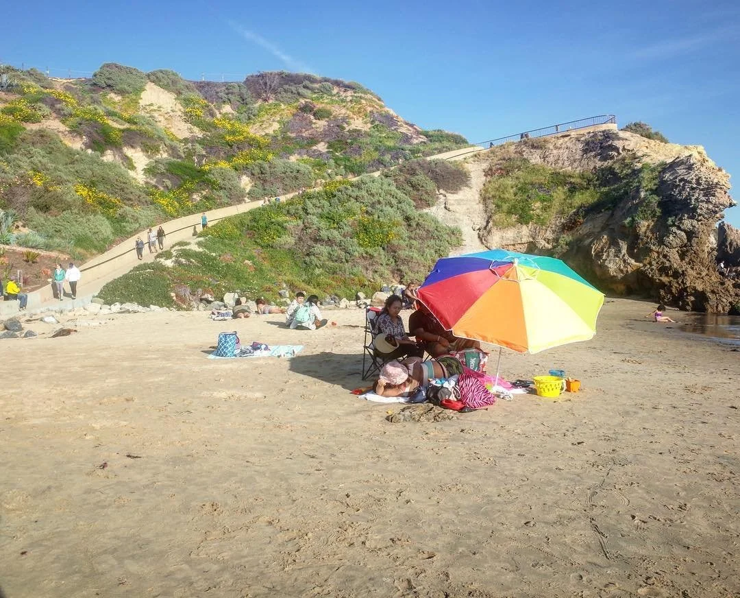 [image] - 1667813.jpeg