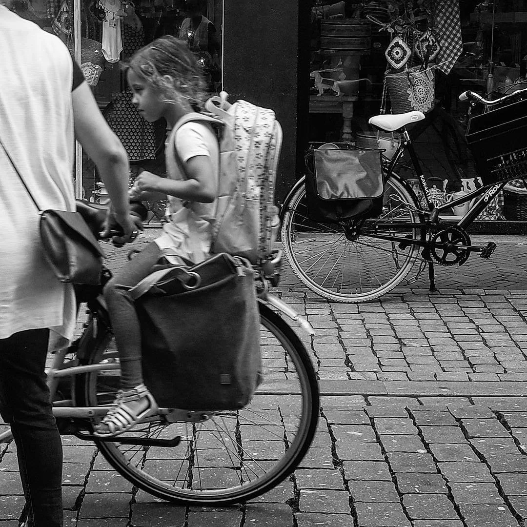 [image] - 5140956.jpeg