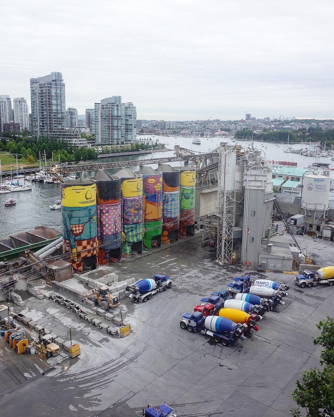 [image] - 7493506.jpeg