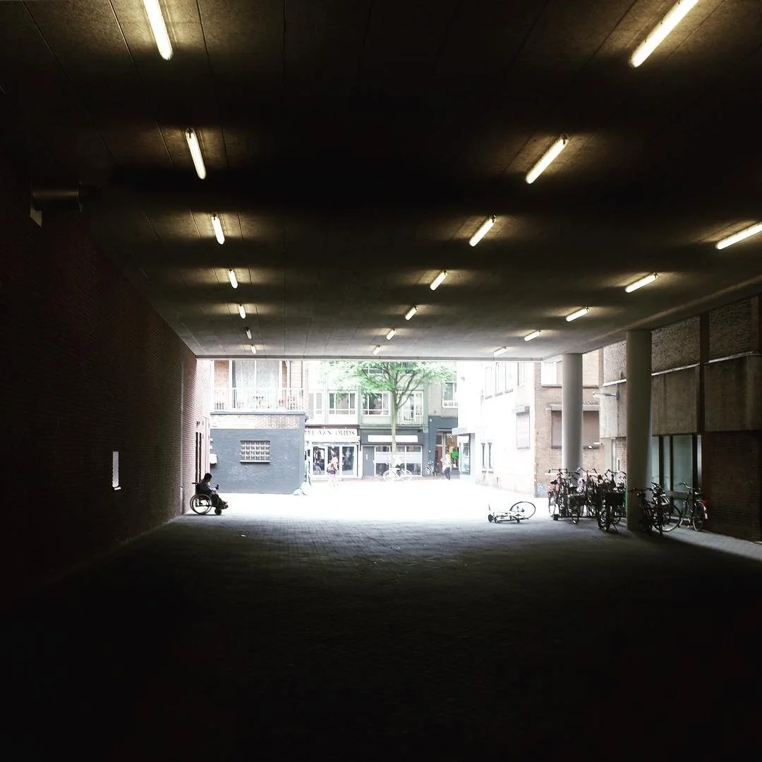 [image] - 8213654.jpeg