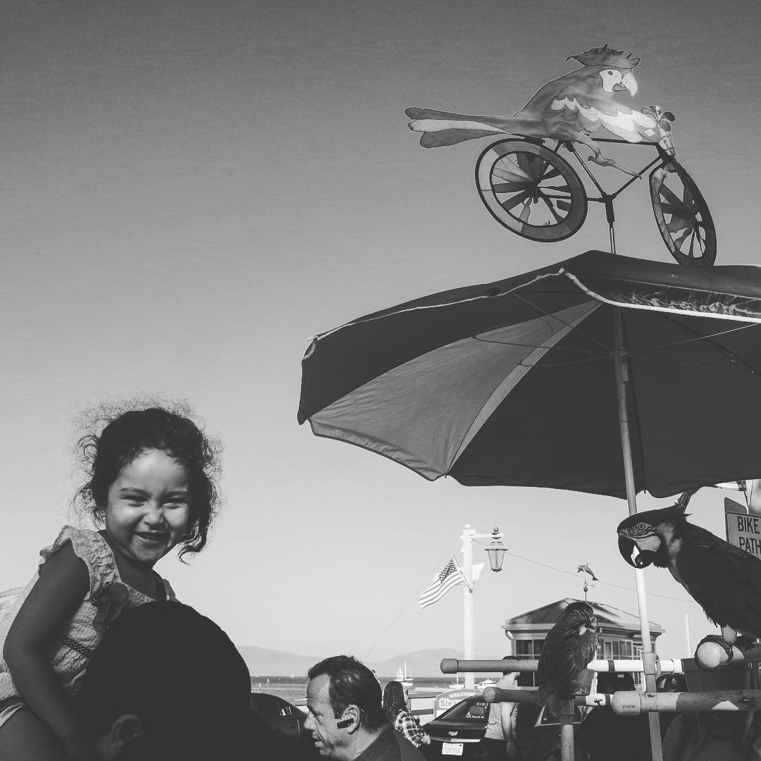 [image] - 1811374.jpeg