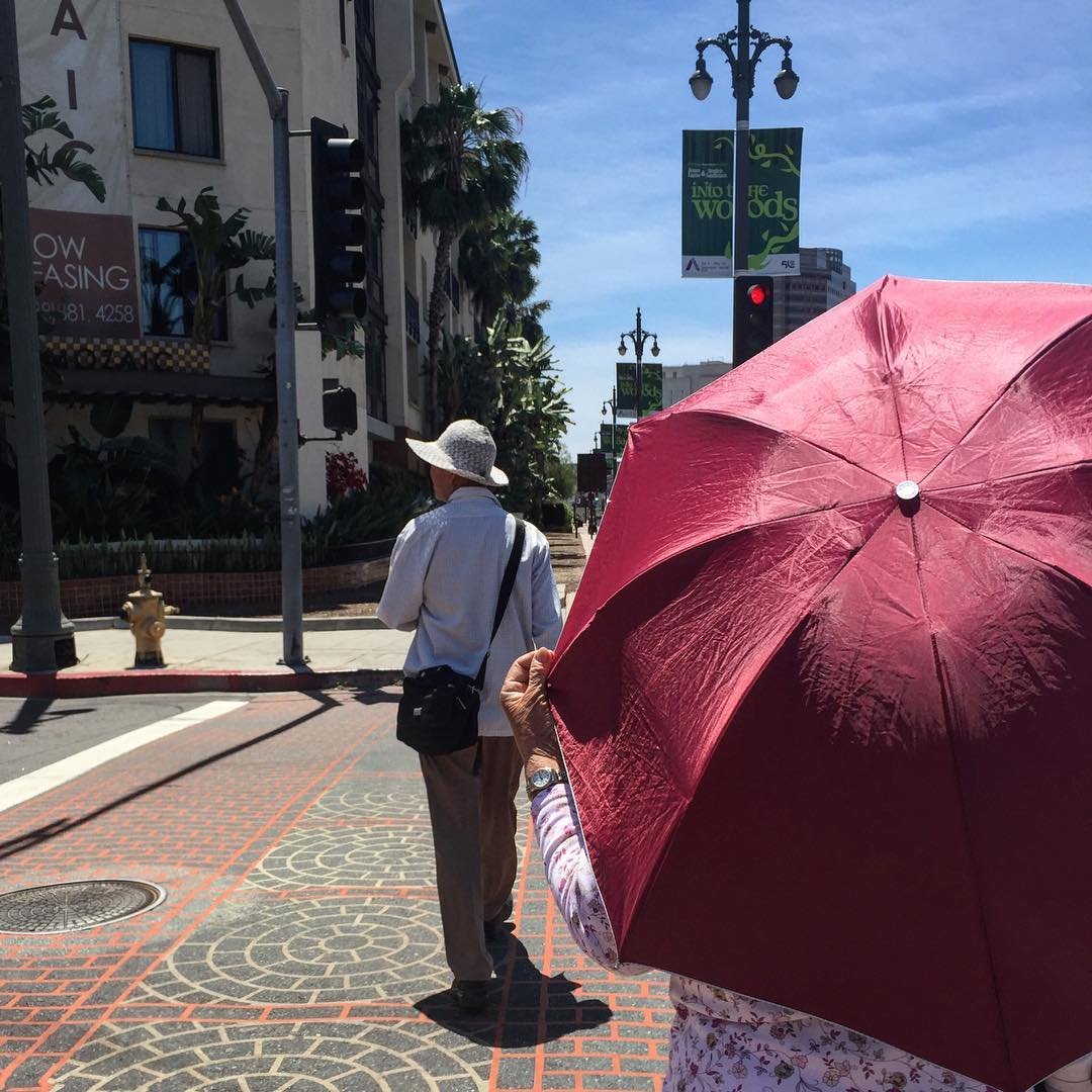 [image] - 8376537.jpeg