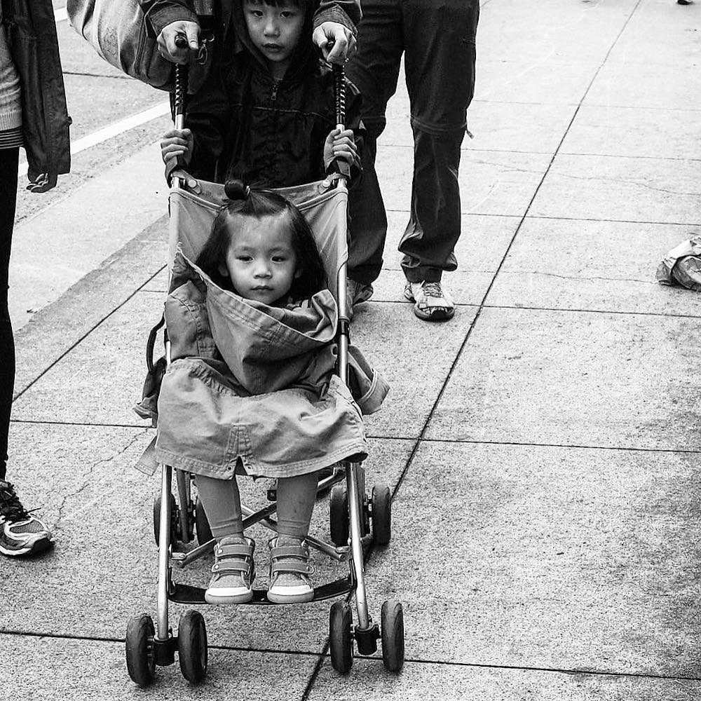 [image] - 9626257.jpeg