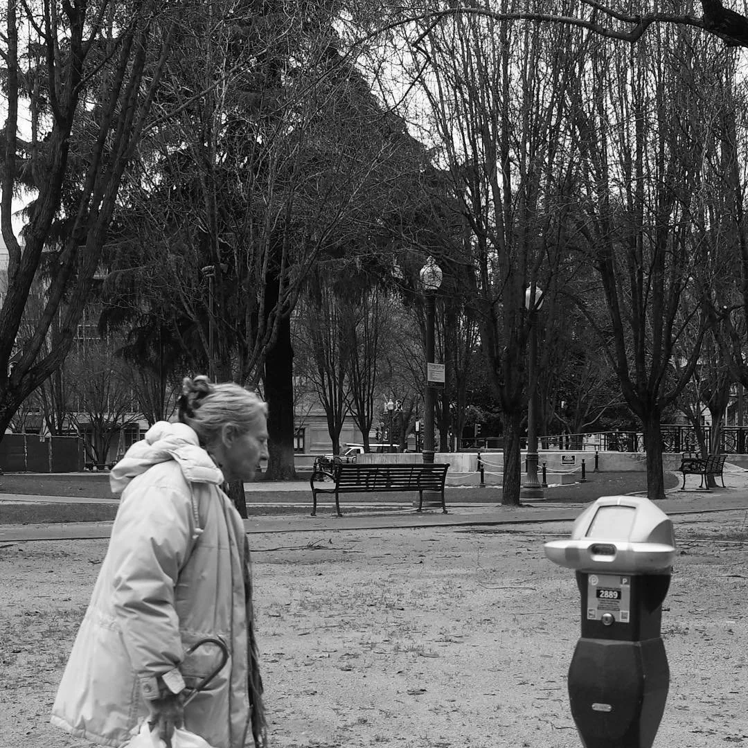 [image] - 4204447.jpeg