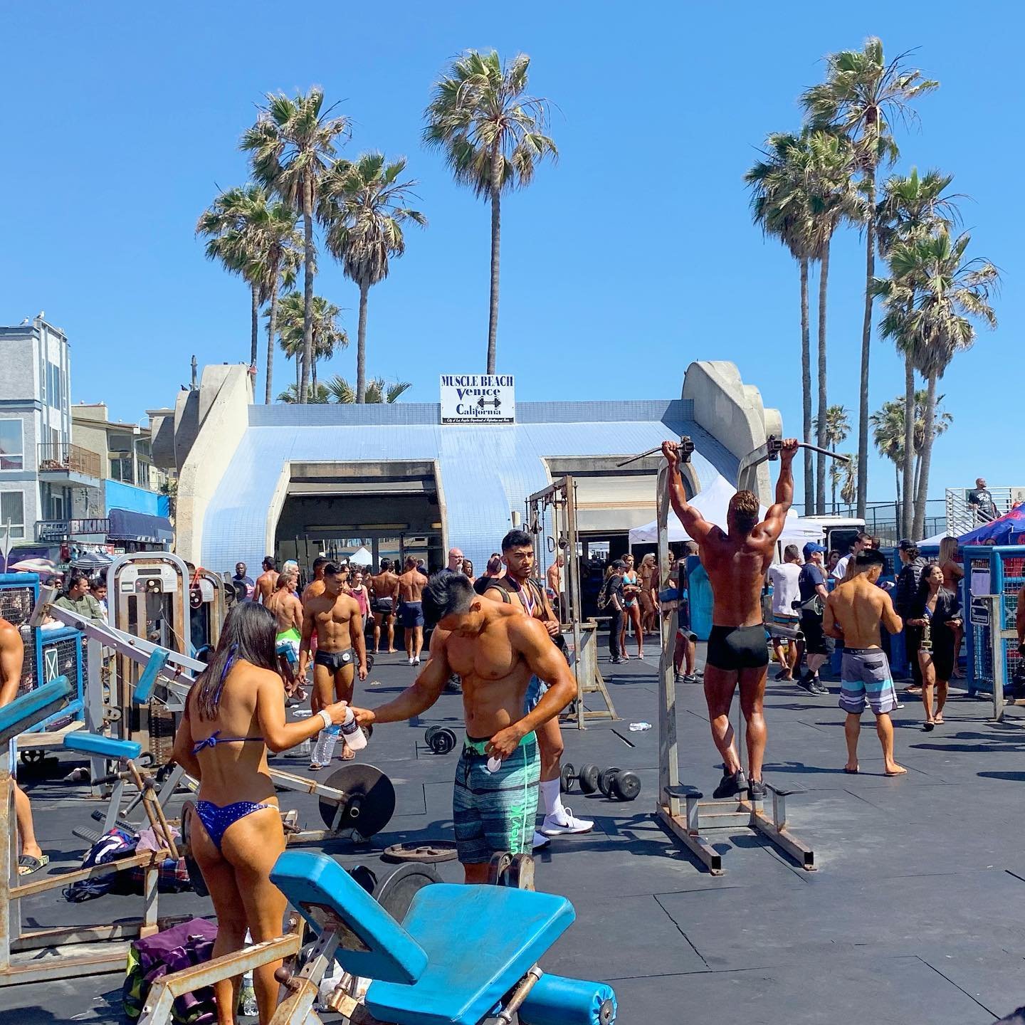 [image] - 1599276.jpeg