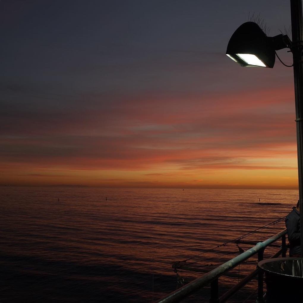 [image] - 322683.jpeg