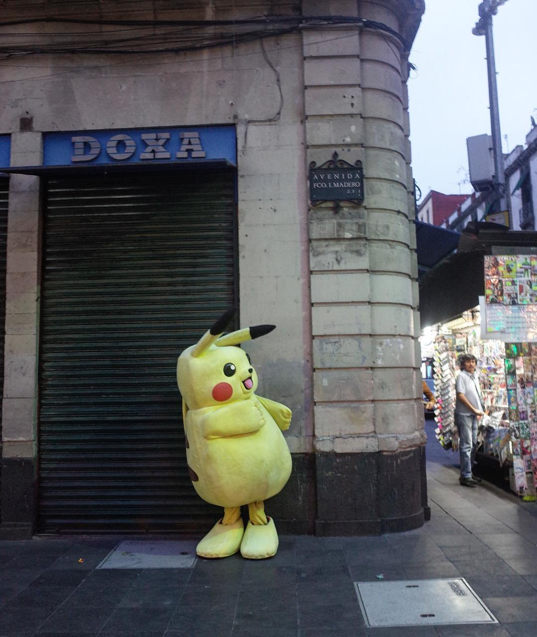 [image] - 8648831.jpeg