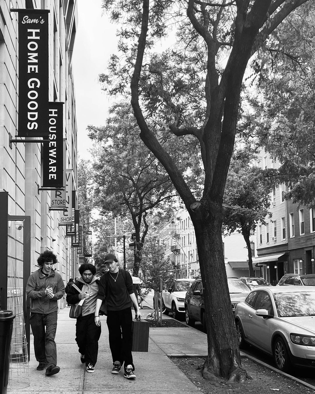 [image] - 5461515.jpeg