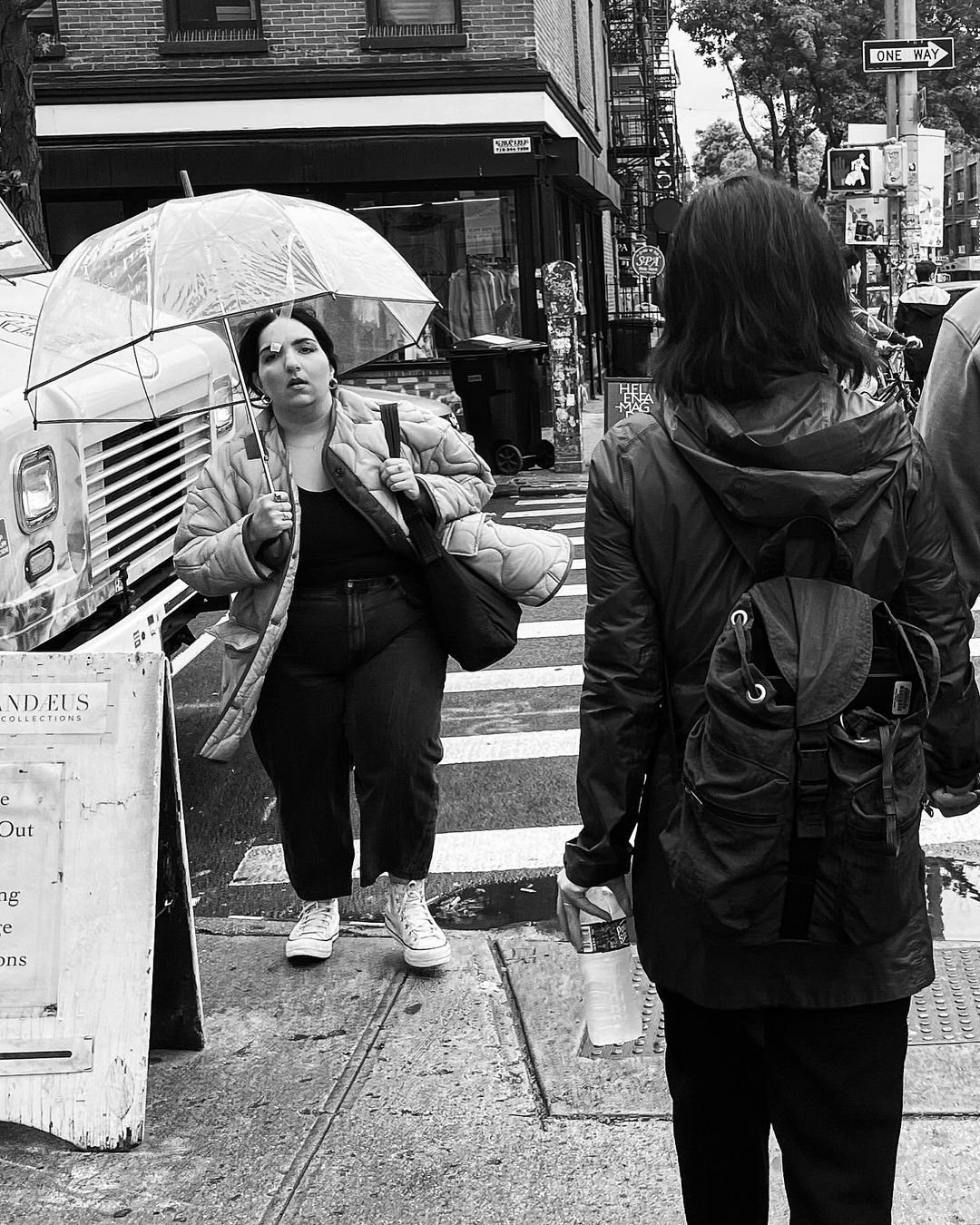 [image] - 3930189.jpeg