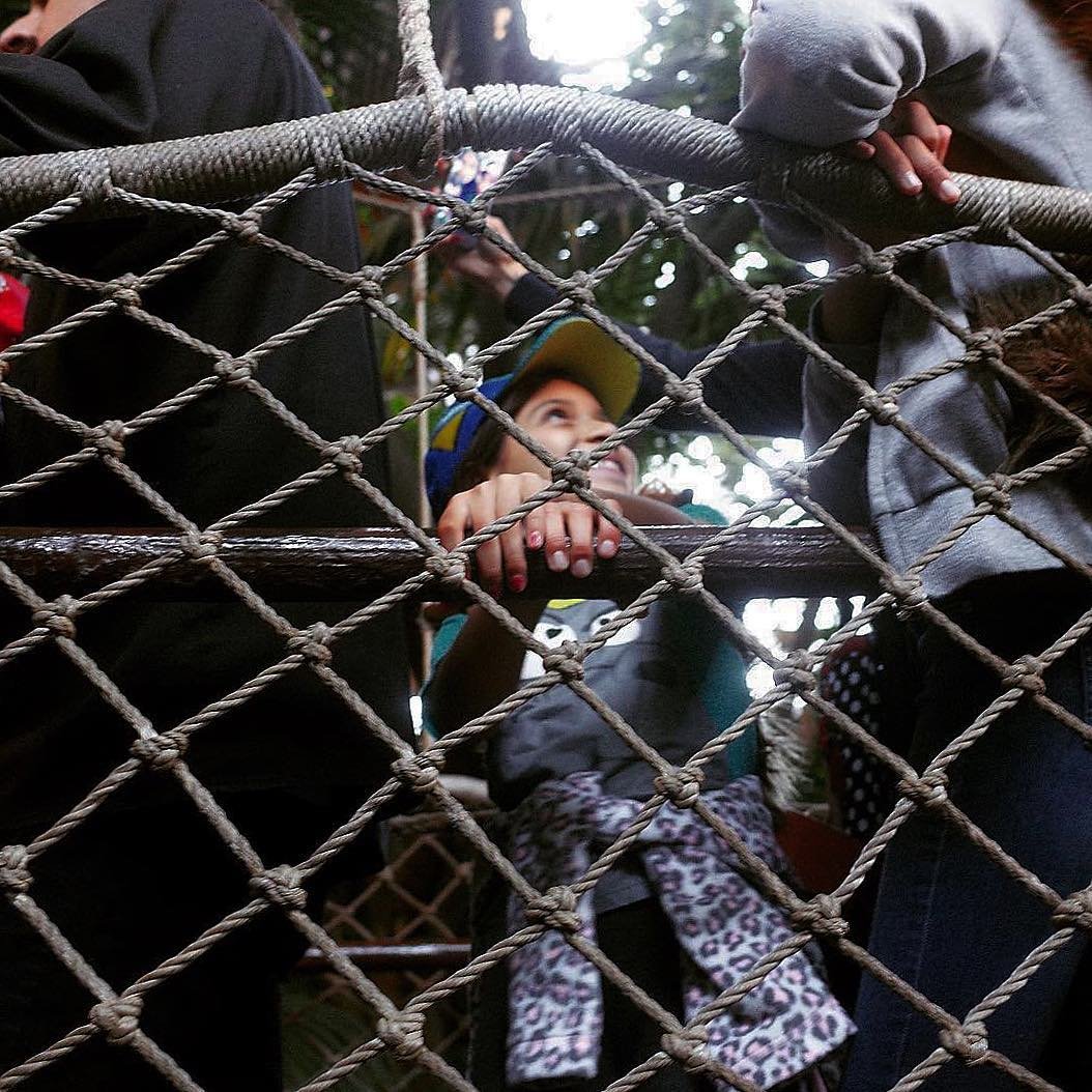 [image] - 8057129.jpeg