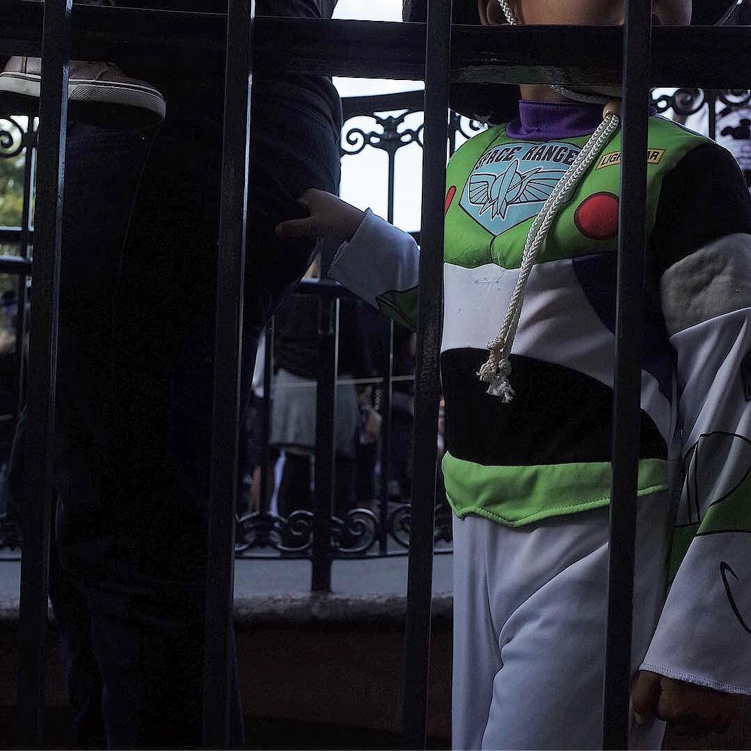 [image] - 144651.jpeg