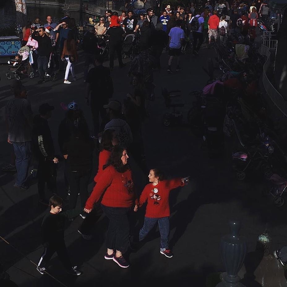 [image] - 25173.jpeg