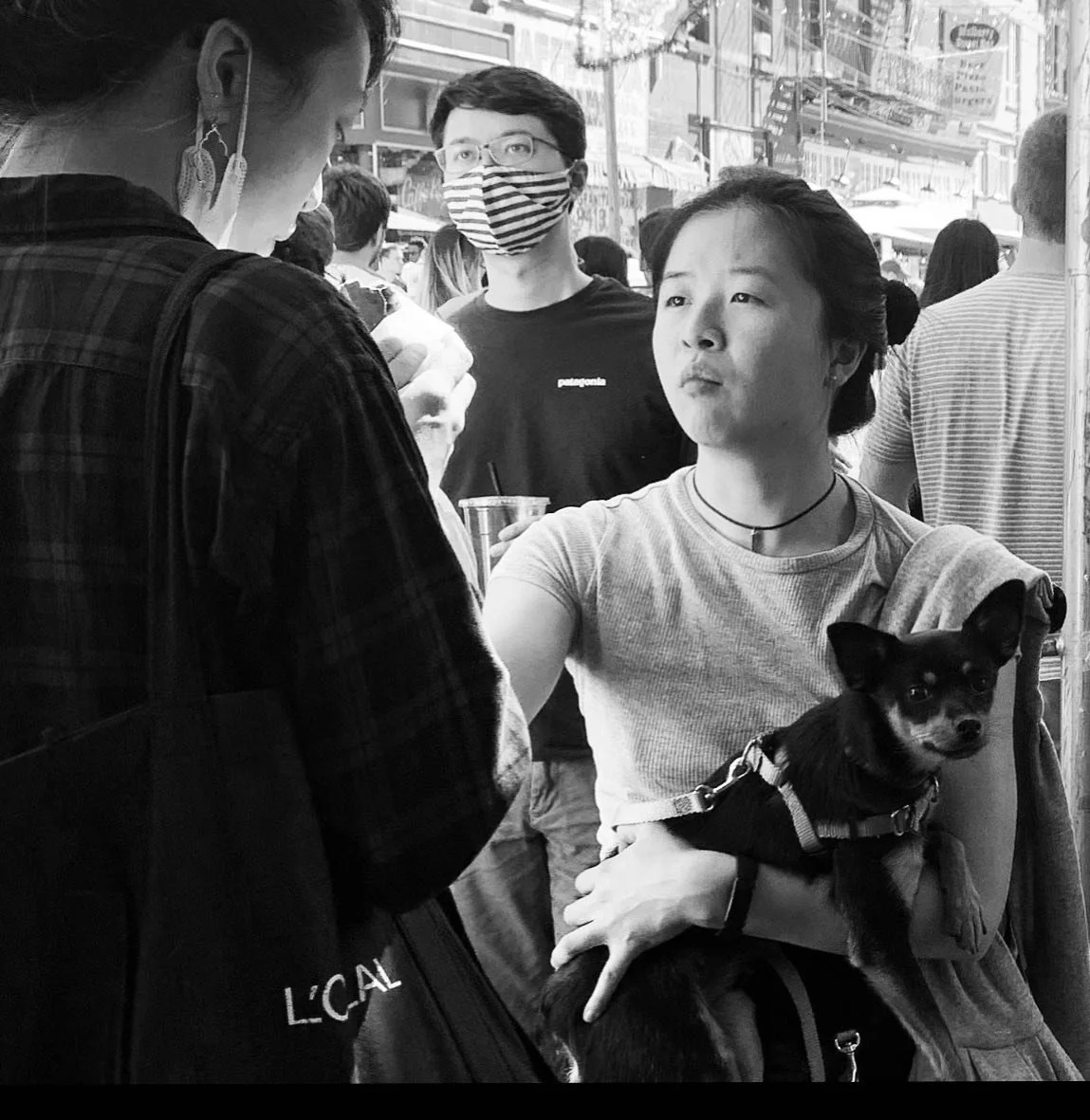 [image] - 2477442.jpeg