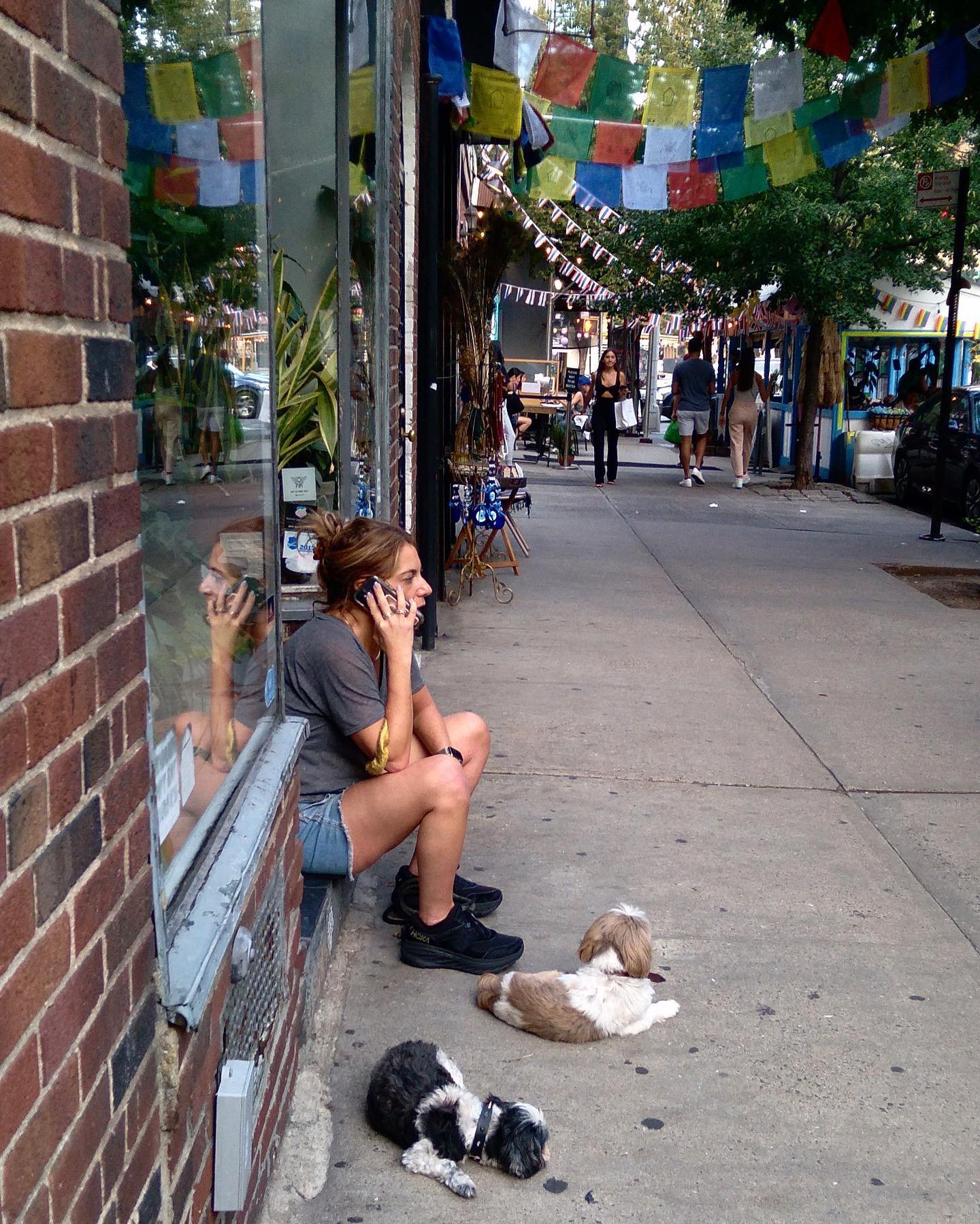 [image] - 3317141.jpeg