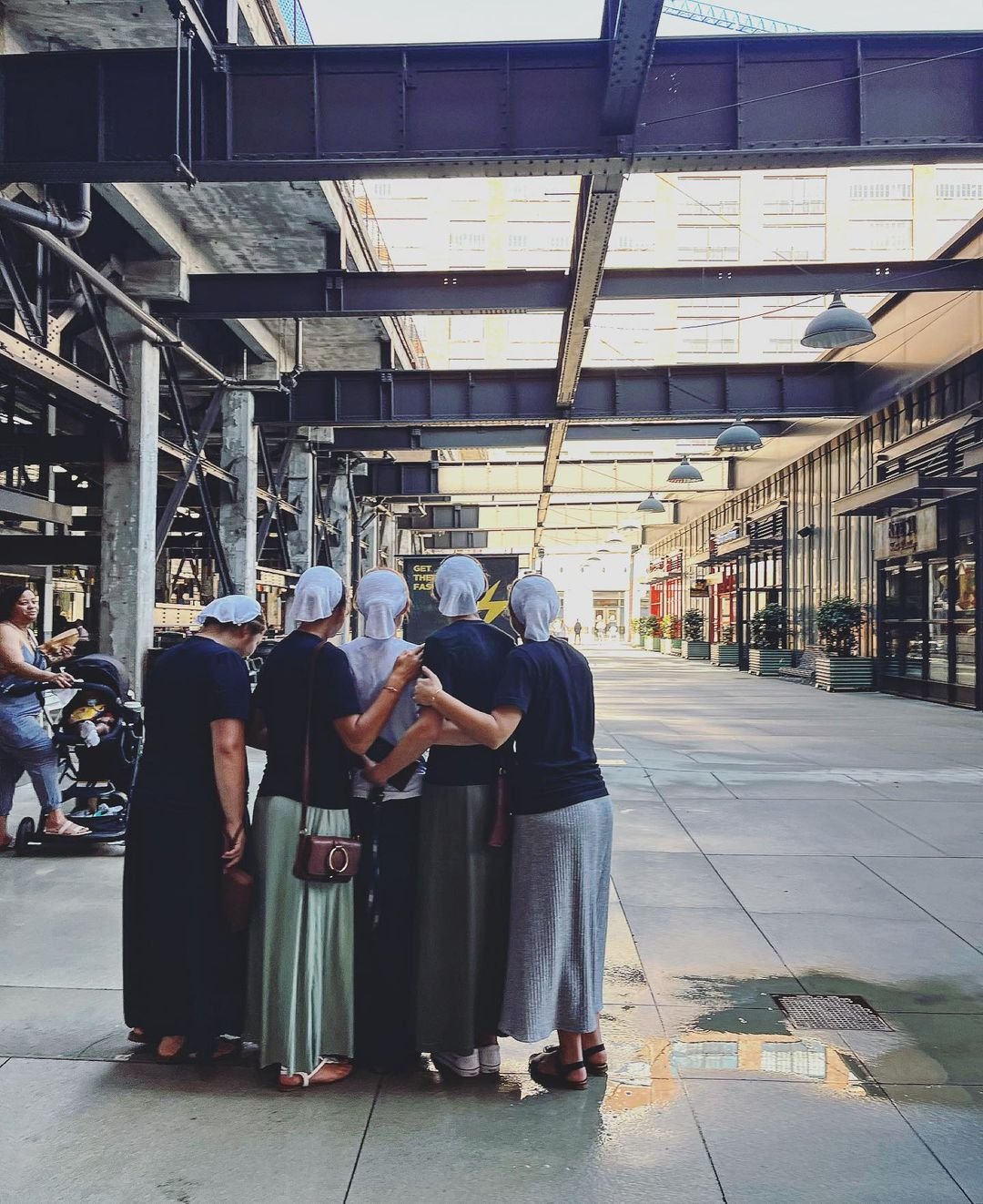 [image] - 3635791.jpeg