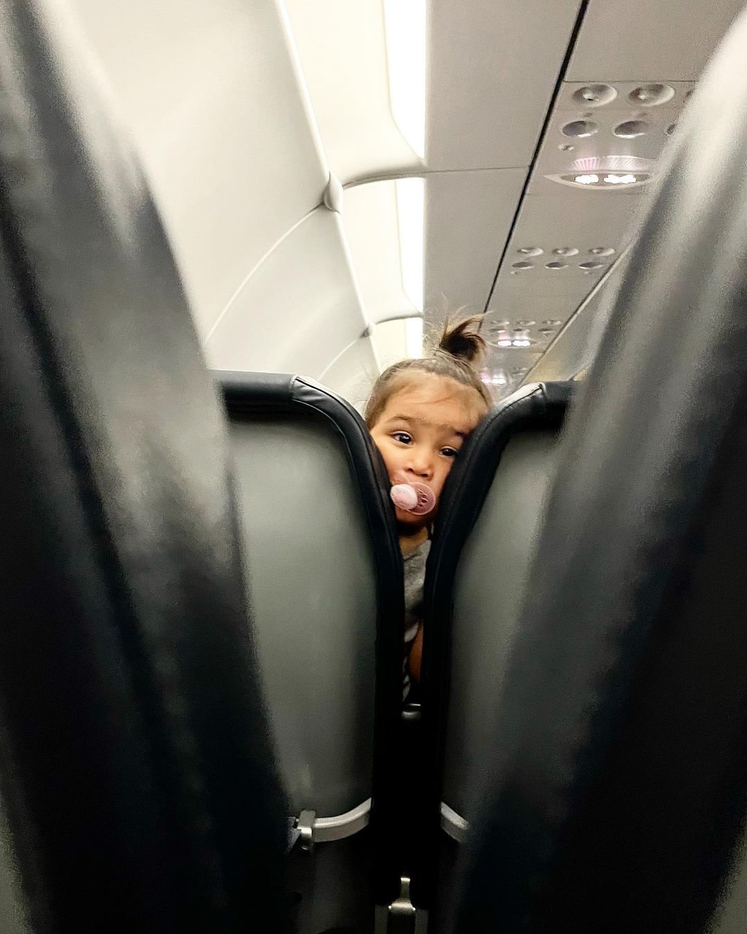 [image] - 1389074.jpeg