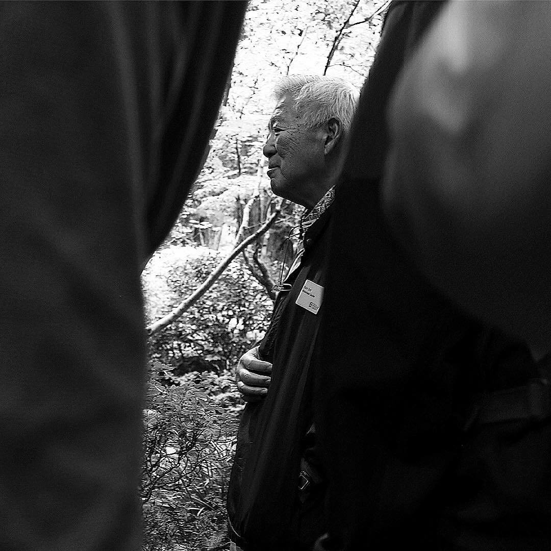 [image] - 4852321.jpeg