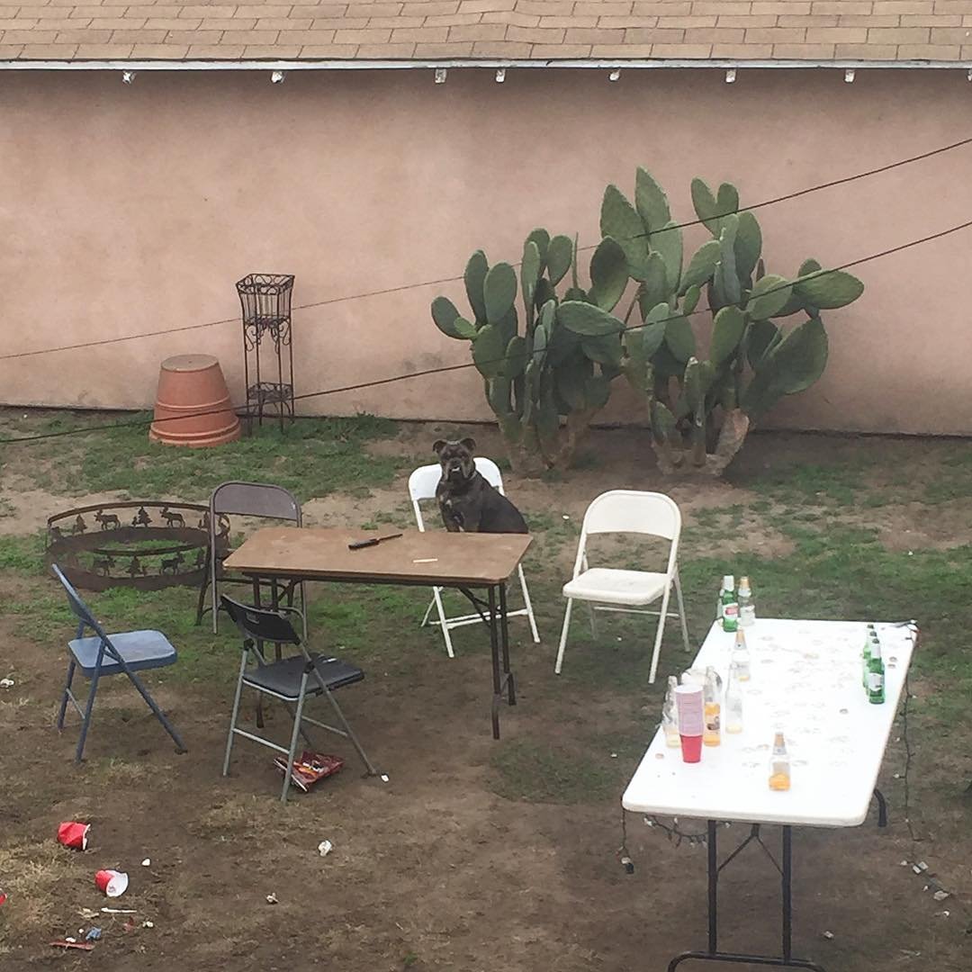 [image] - 7447173.jpeg