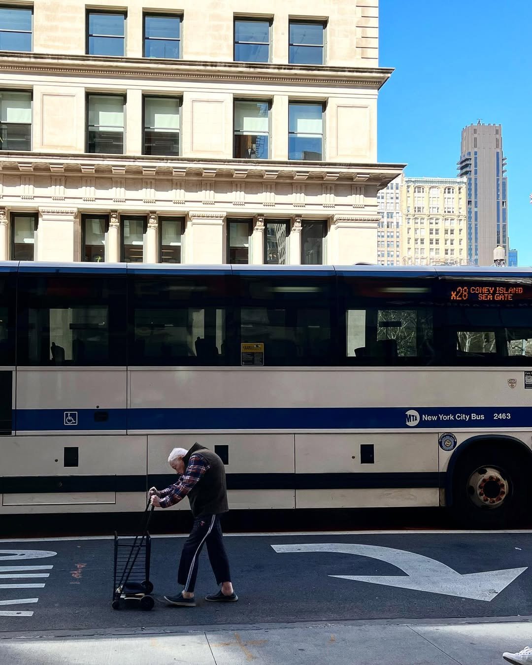 [image] - 166001.jpeg