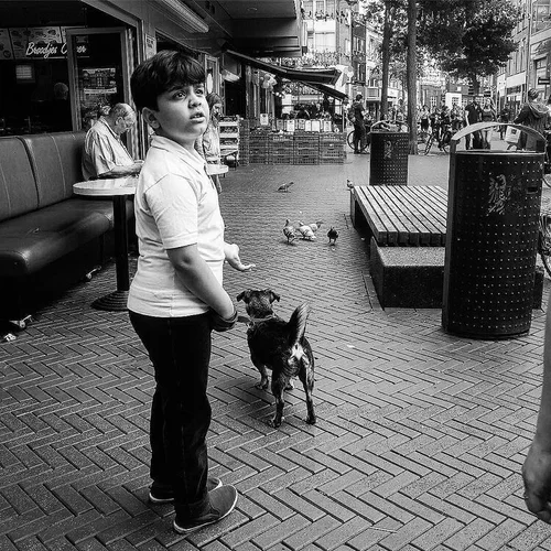 4308776237_a84a4ae7-4568-43ee-9f44-6cfcf7a66fc6.webp