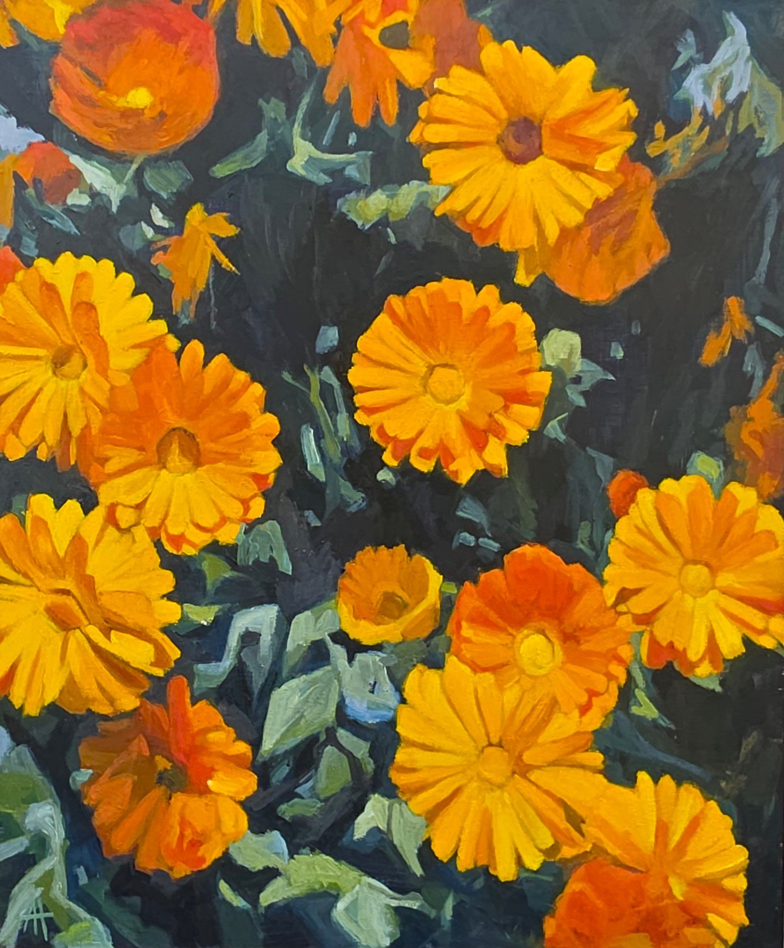 Calendulas 5.jpg
