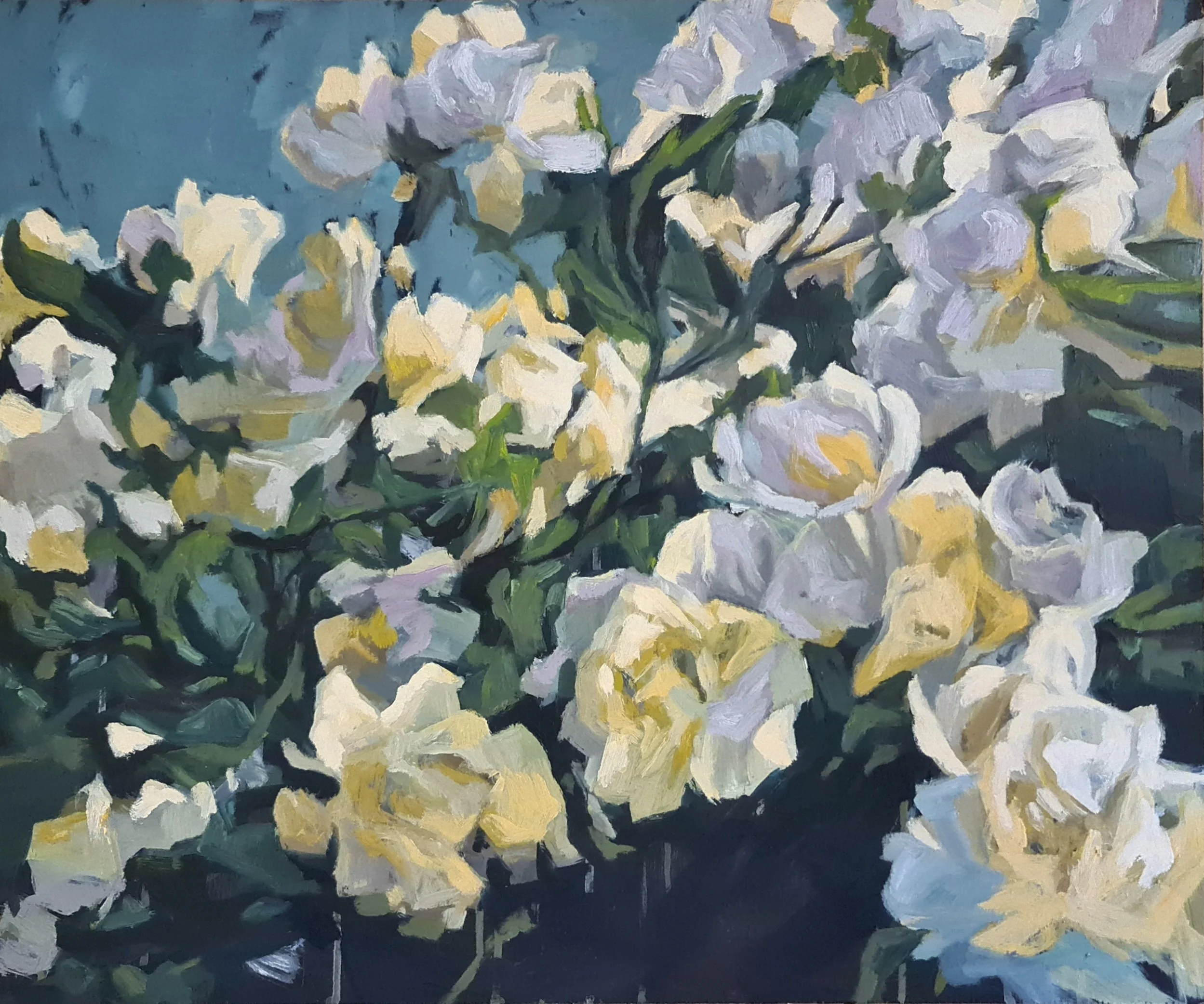 Alice Tilley, Banksia Roses II.jpg