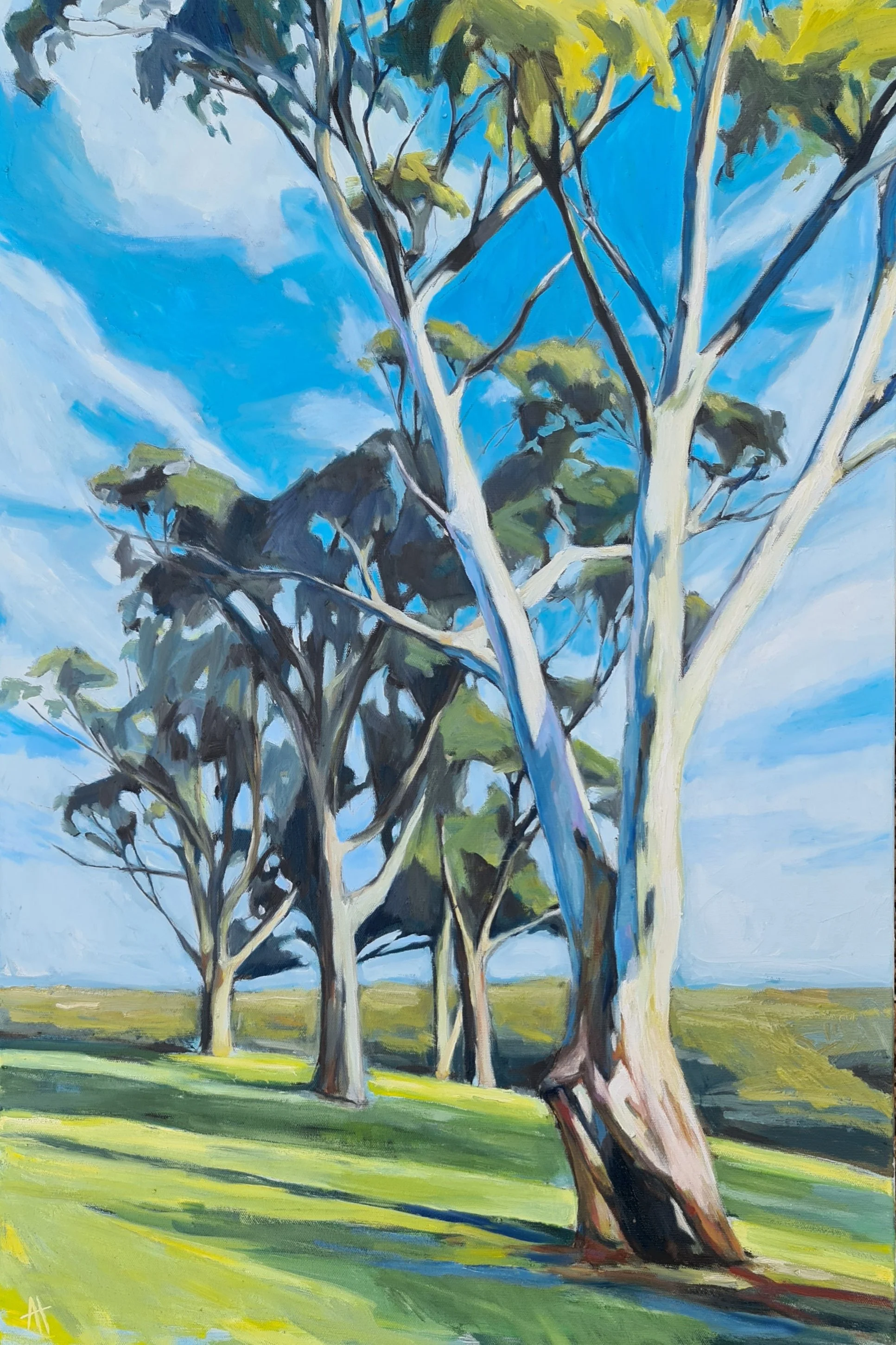 landscape — Alice Tilley