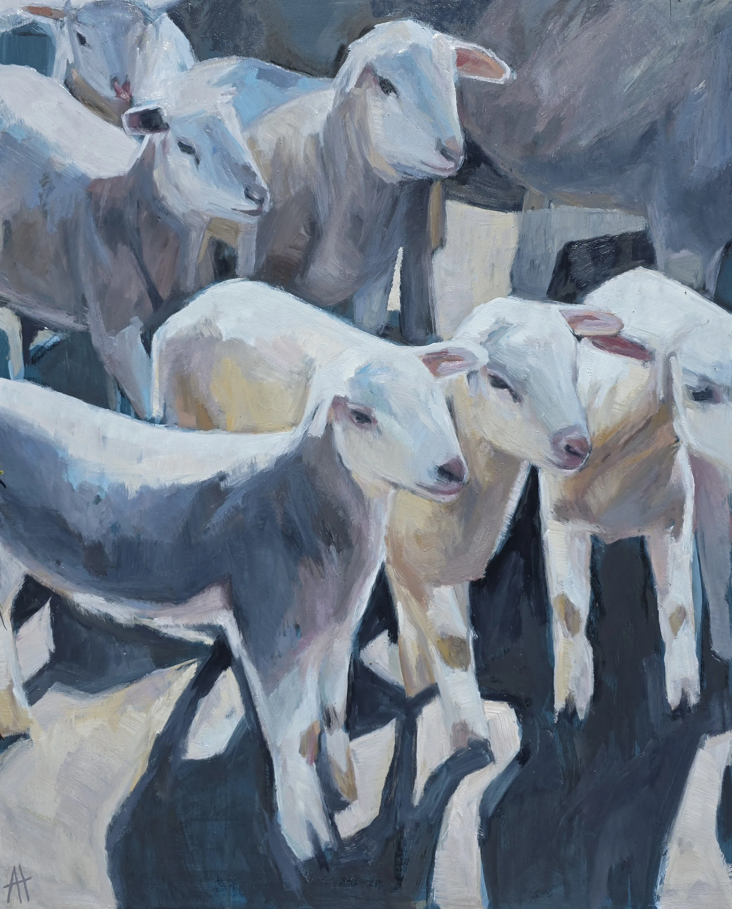 Lambs in a Row.jpg