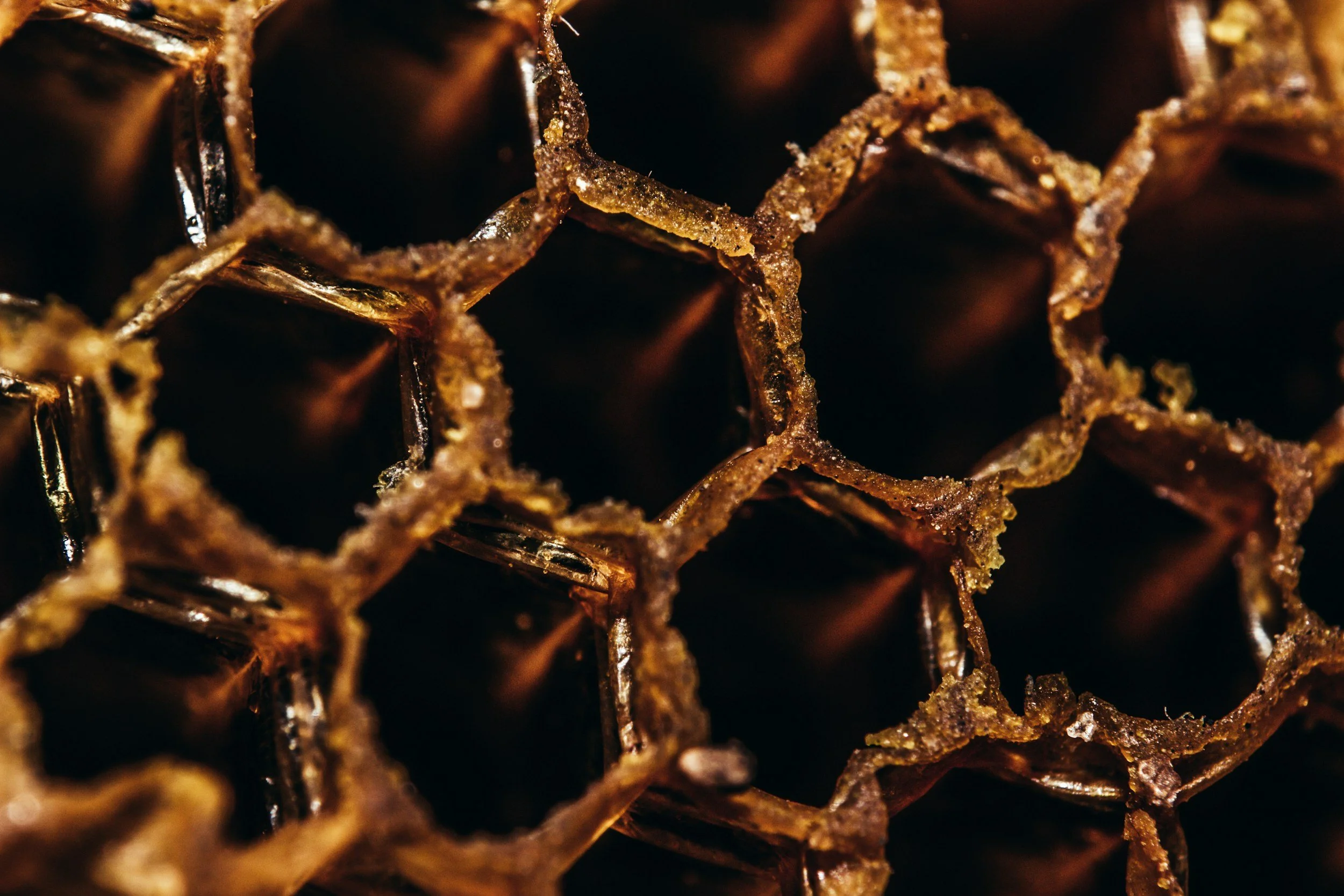 Close-up of a cluster of shiny, brown, irregularly shaped grains or particles with some golden highlights, creating a textured surface.