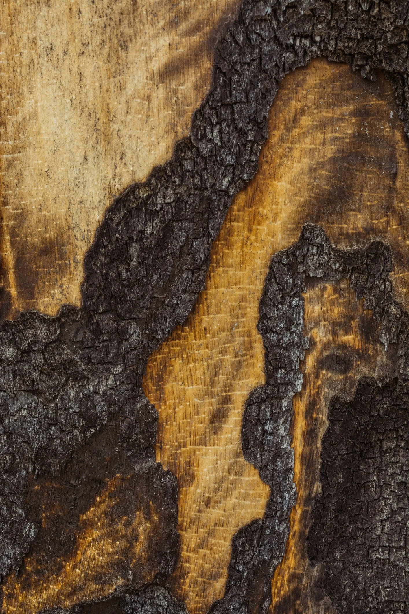Close-up of a wooden surface with burnt, blackened wood details.