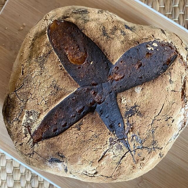 It was going to happen eventually. My kid veered off of her new Quarantine induced gluten-free baking spree to try her hand at a real sourdough boule. She&rsquo;s taken the &ldquo;when we eat bread we only eat sourdough&rdquo; missive to heart!! Than