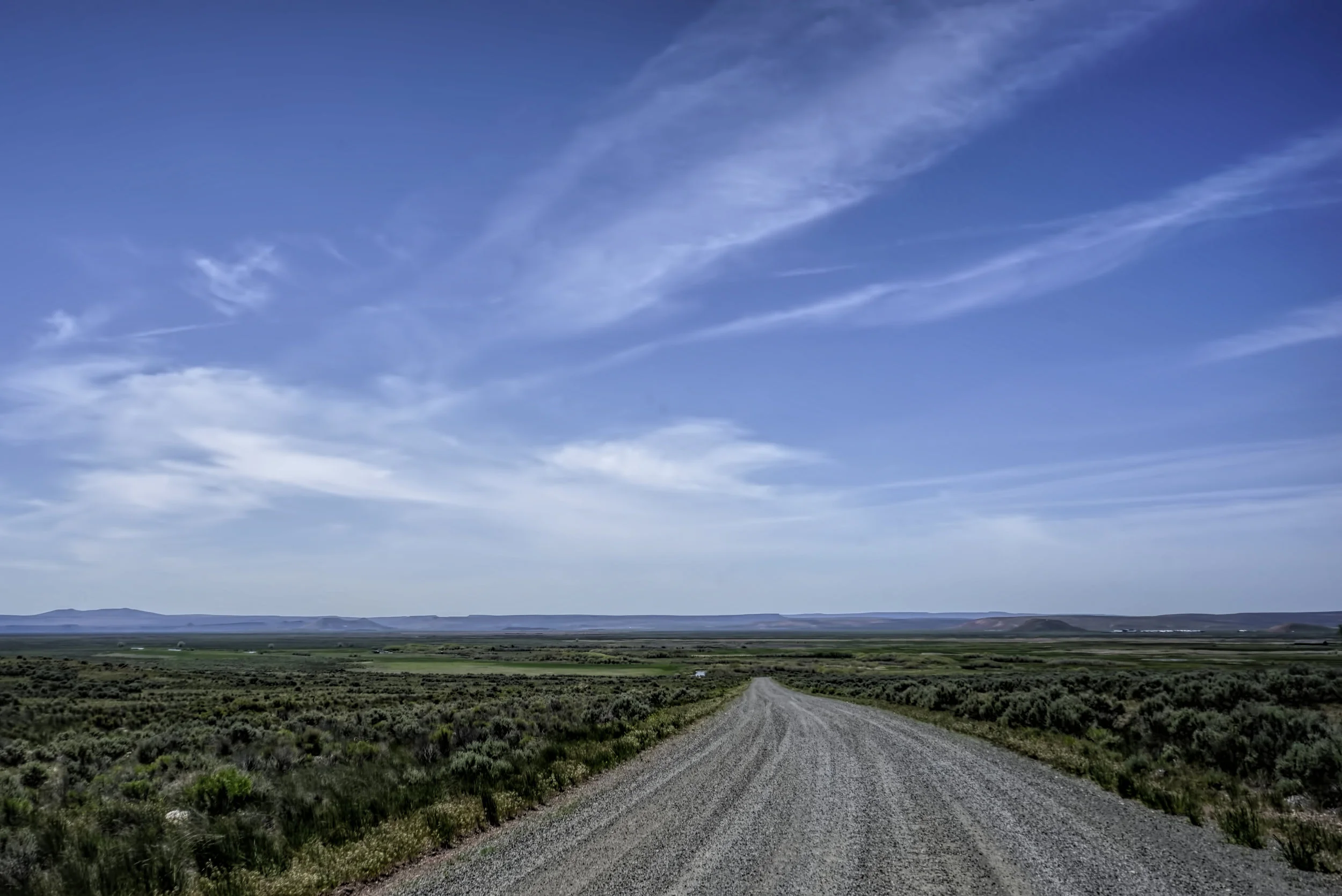 iStock-495146003.jpg