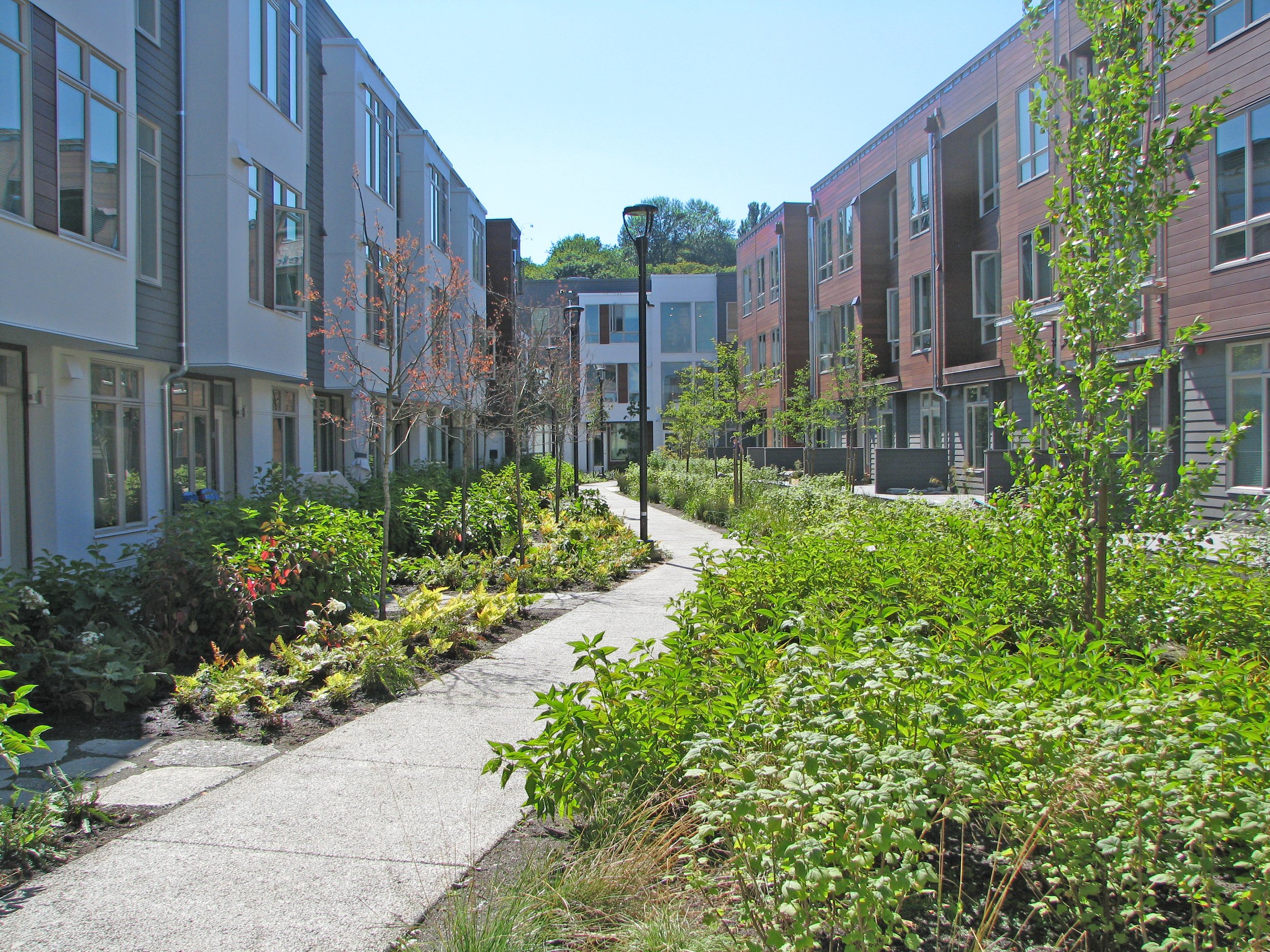 CityLine Alley 2.jpg