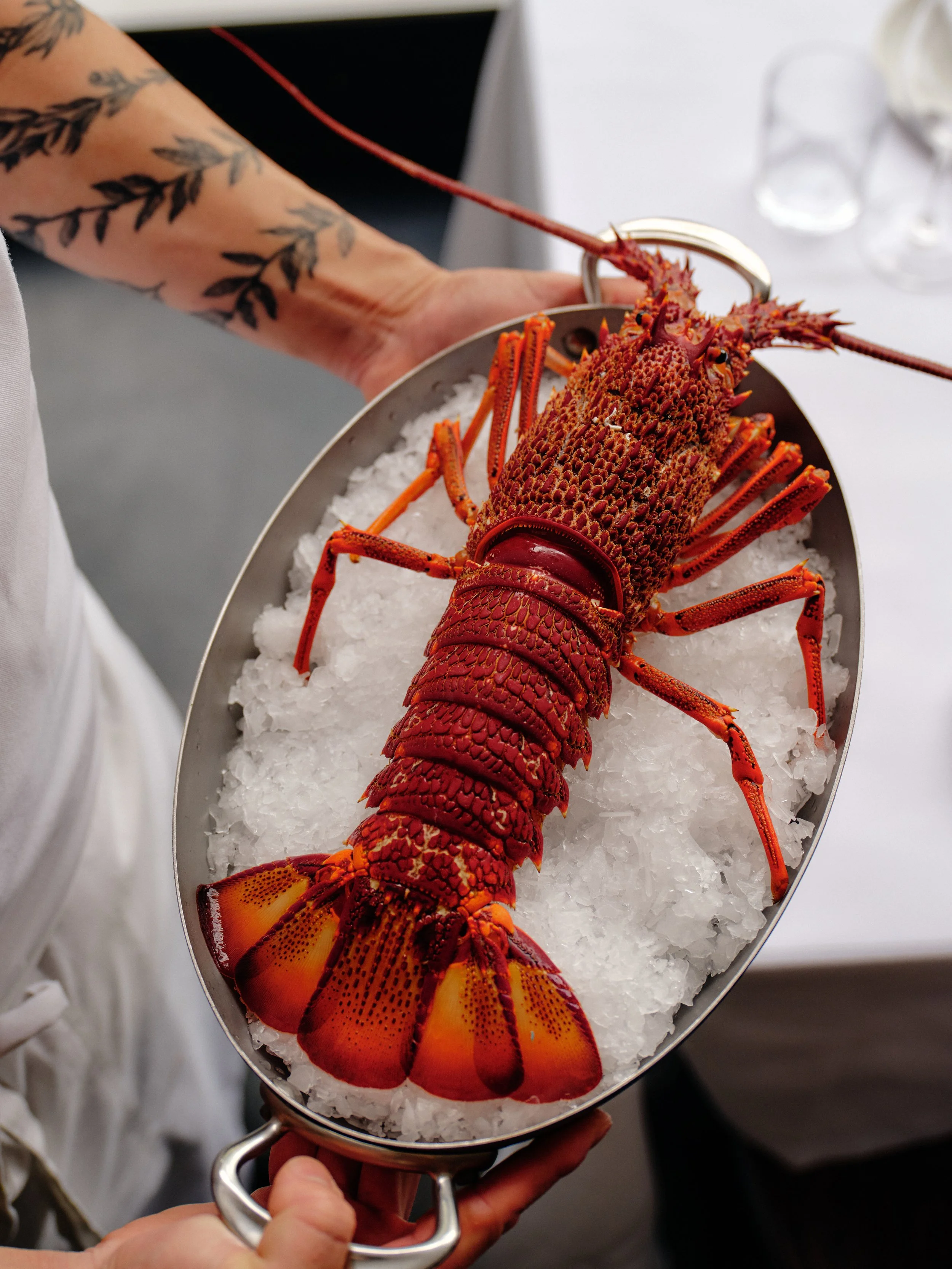 Cutler_hdavison 1.jpg