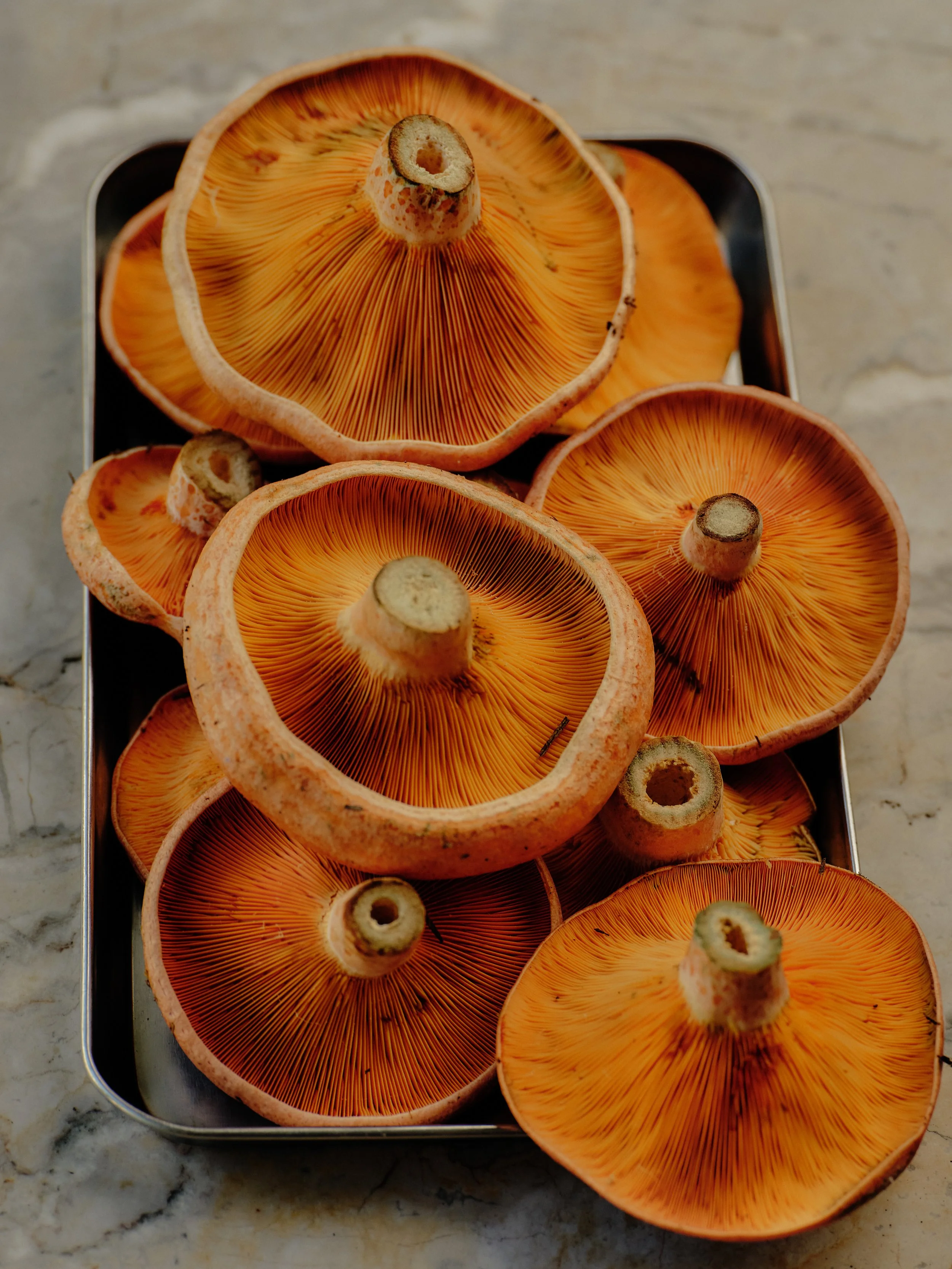 PRODUCE TO PLATE
