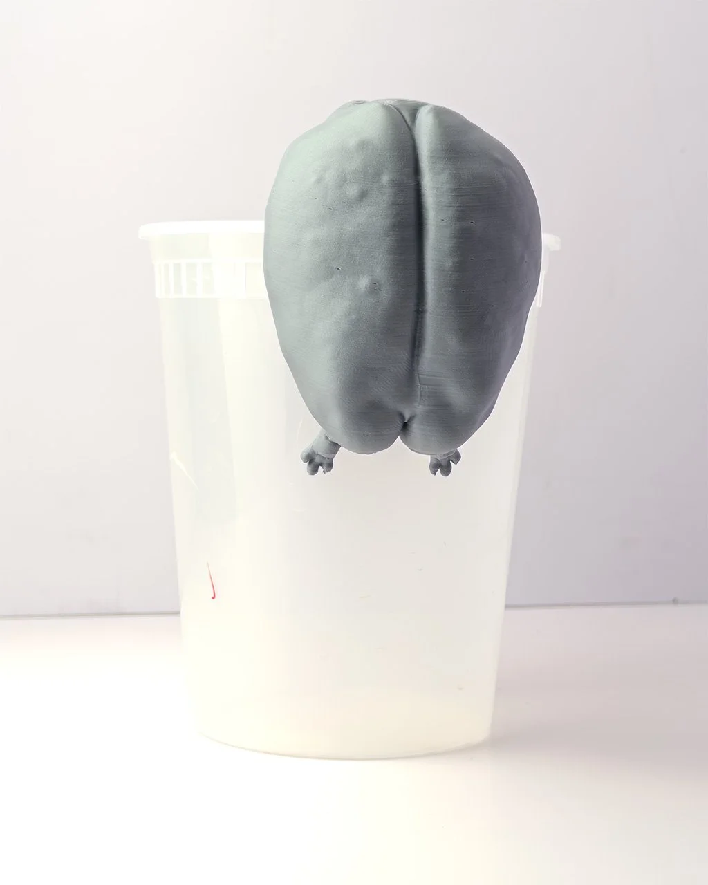Buttfrog1.jpg