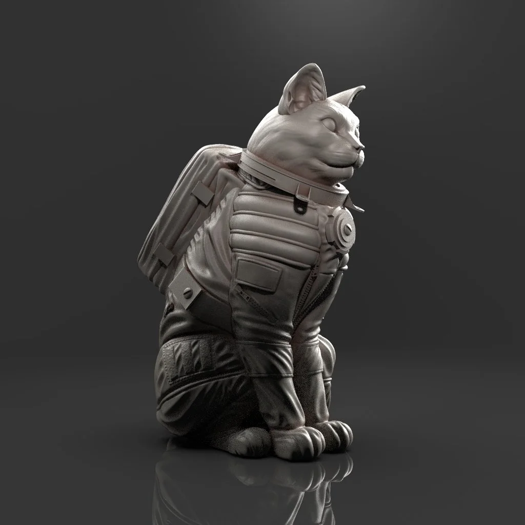 catstronaut.jpg
