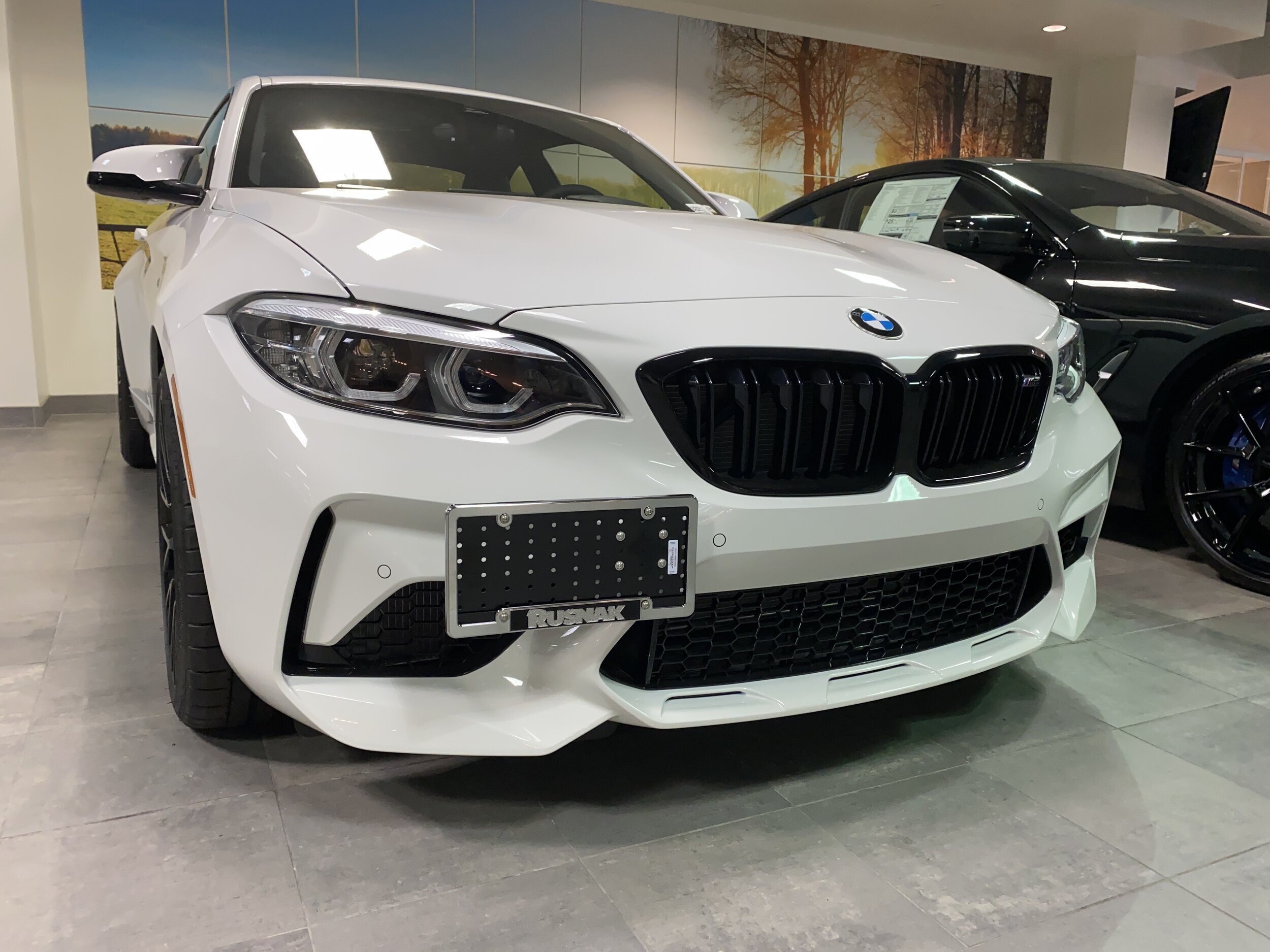 F87+M2.jpg