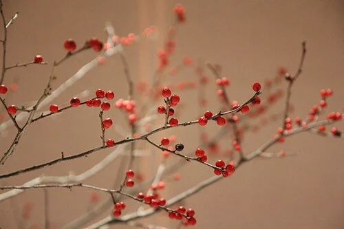 SM Entertainment : SM Town &amp; Cafe (2015)