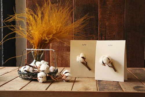 [Card] 생화카드 - 목화