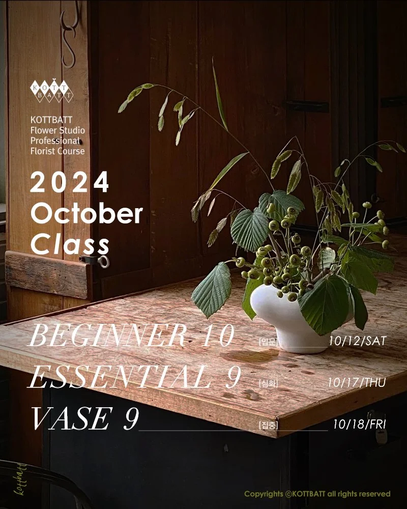 [마감] 2024년 10월 정규 클래스 신청