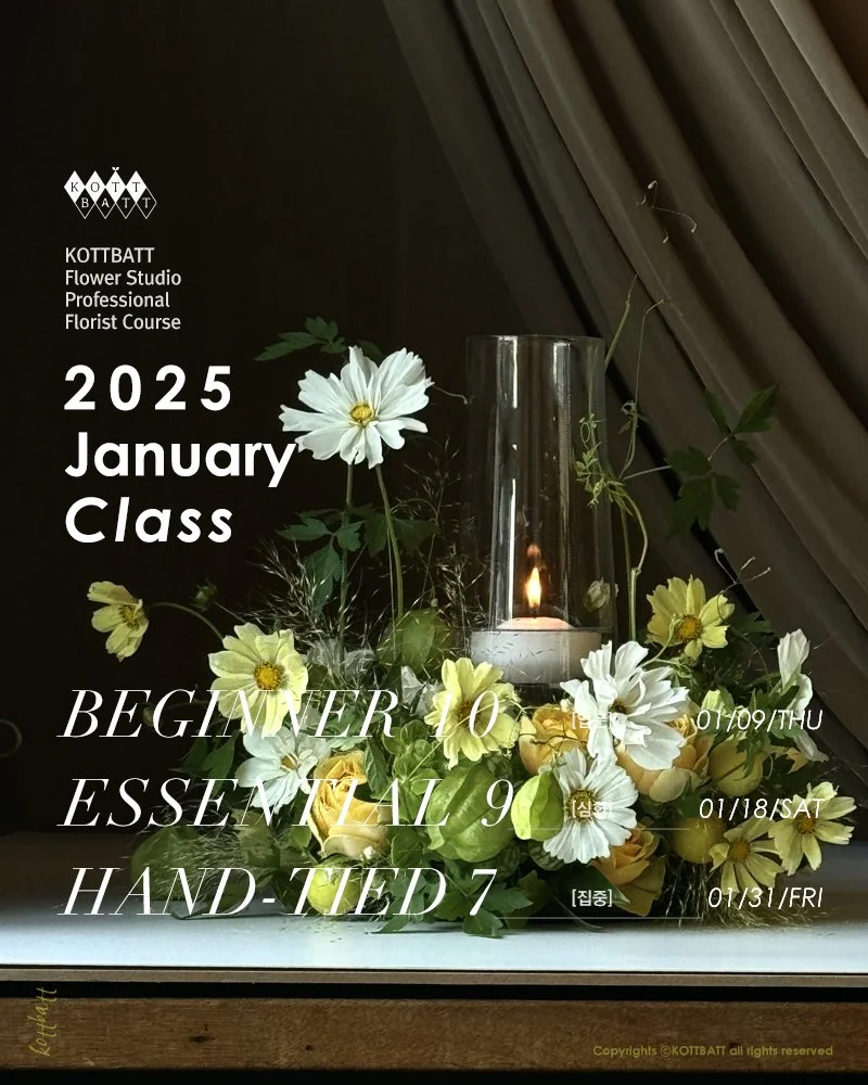 [마감] 2025년 1월 정규 클래스 신청