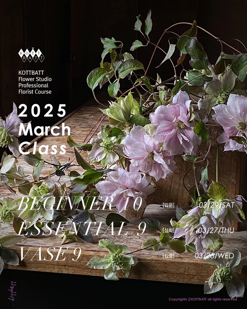 [마감] 2025년 3월 정규 클래스 신청