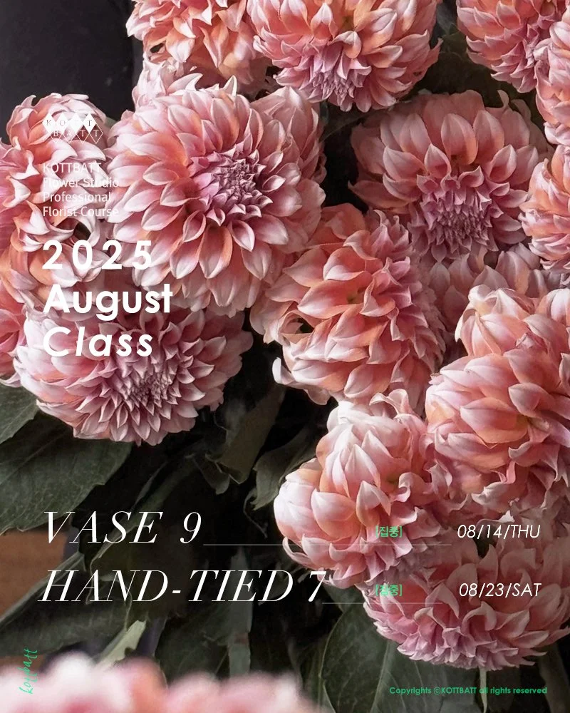 [마감] 2025년 8월 정규 클래스 신청