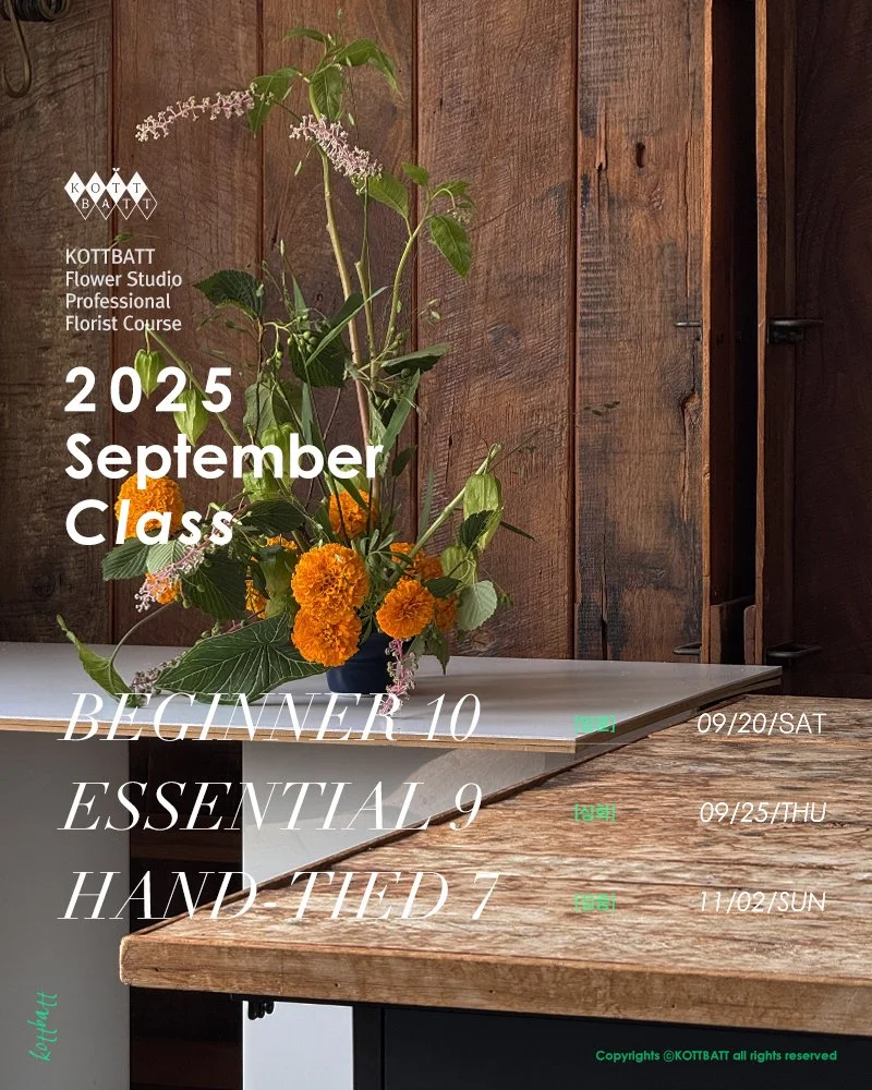 [마감] 2025년 9월 정규 클래스 신청