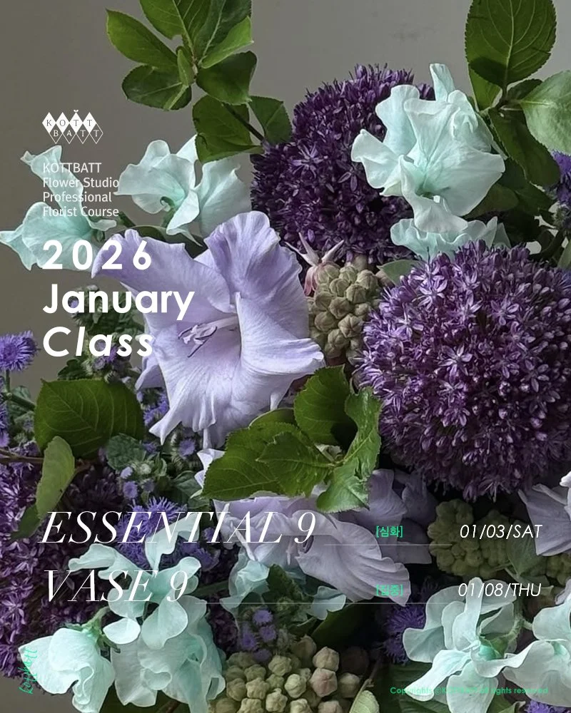 2026년 1월 정규 클래스 신청